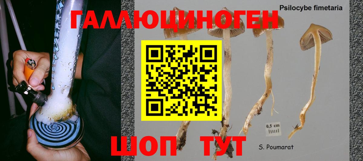 Галлюциногенные грибы GOLDEN TEACHER  Вход с VPN  наркошоп  Назарово 